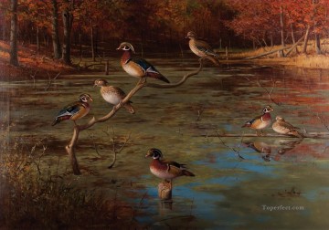 Gromme Wood Ducks birds Oil Paintings